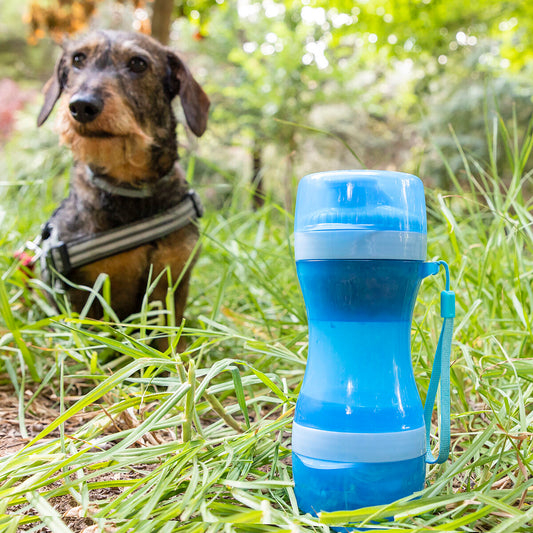2-in-1 Trink- & Futterflasche für Haustiere – Pettap InnovaGoods